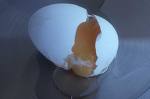 egg.jpg