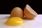 egg2.jpg