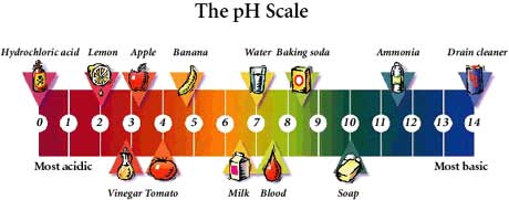 phscale.jpg
